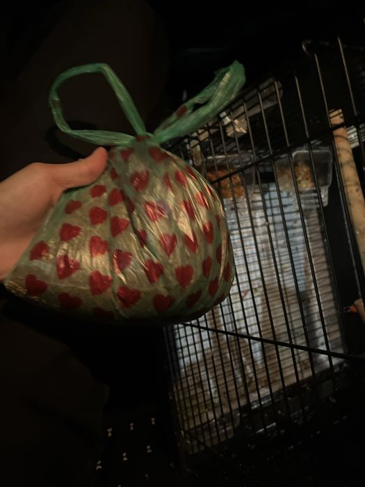 Продаю птиц