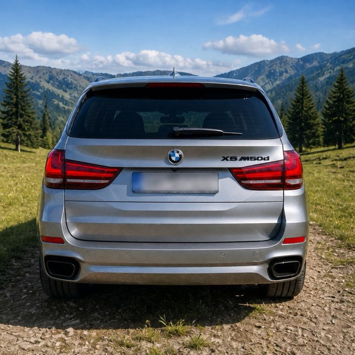 Vand schimb BMW X5 f15 m50d 2015 381cp