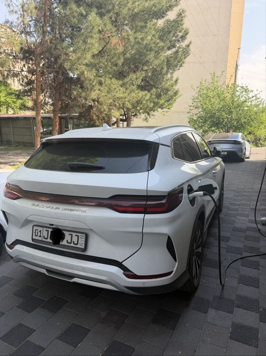 Champion 605 Byd Song plus