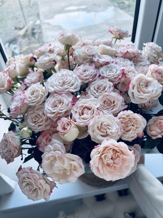 Нәзік әрі сәнді букет-спрей роза.