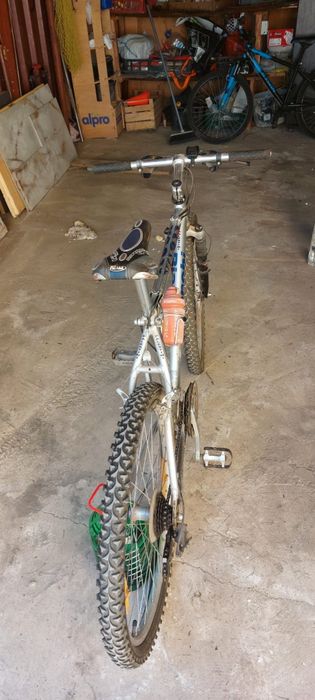 Bicicleta adulti