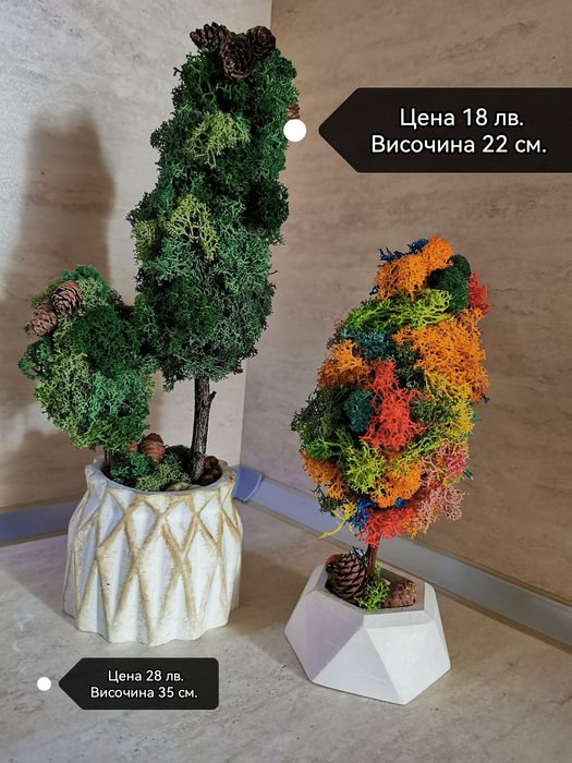 Живи дървета и сувинири със скандинавски мъх