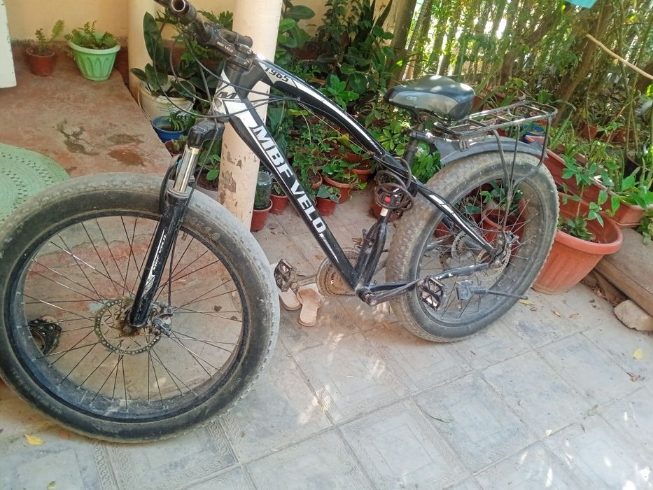 Velosiped shirokiy balon