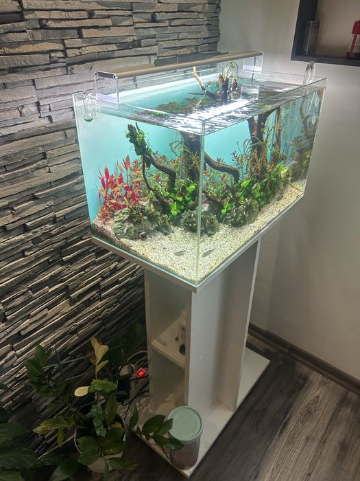 Аквариум с шкаф пълен сет