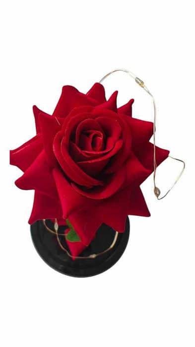 Красива осветена роза в стъкленица с красива подаръчна кутия