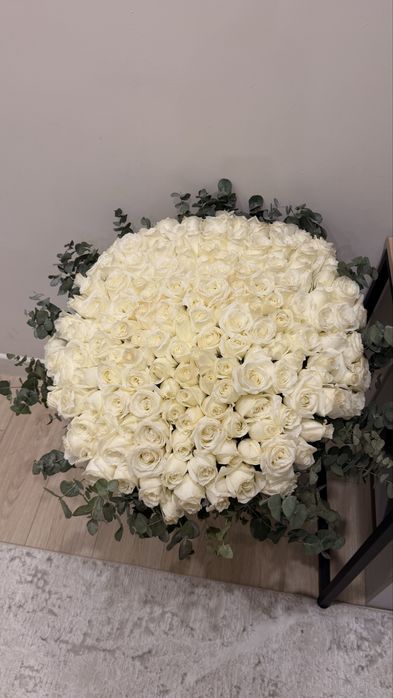 151 роза метровая