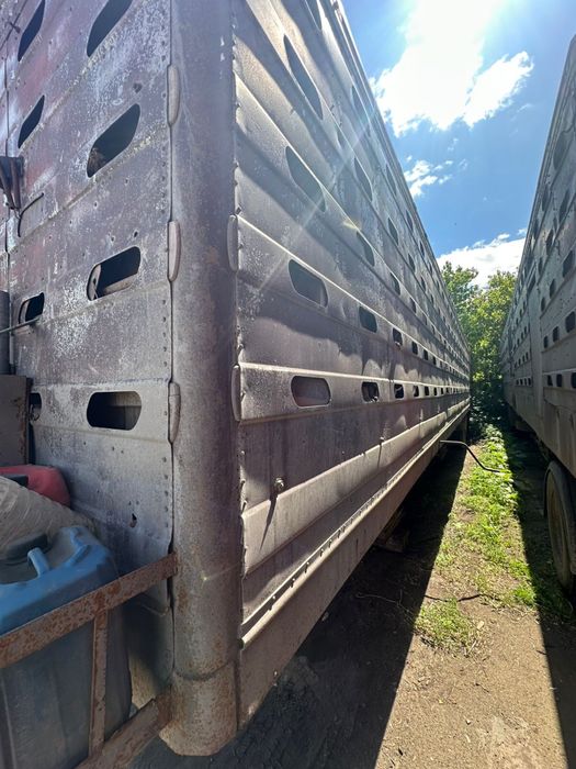 Скотовоз полуприцеп Одаз