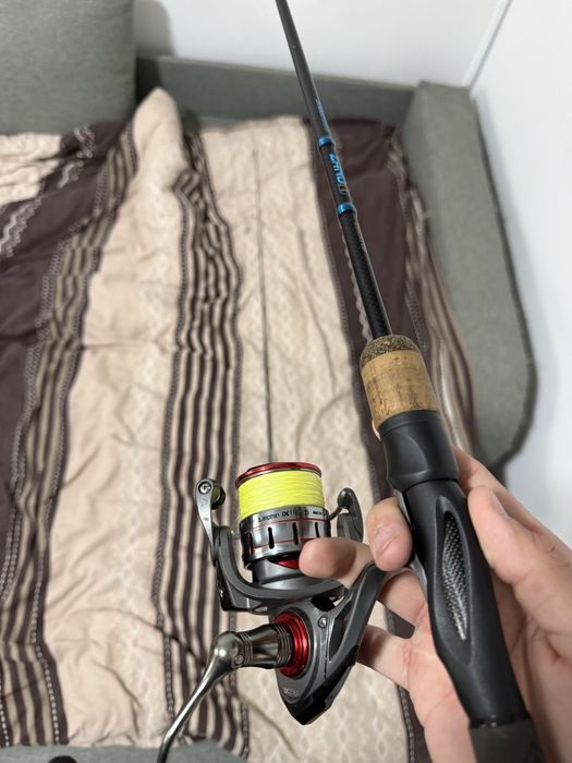 Combo Spinning Delphin