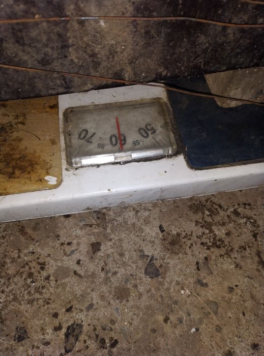 Електрожени самоделни