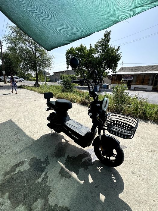 Skutr sotilad ..