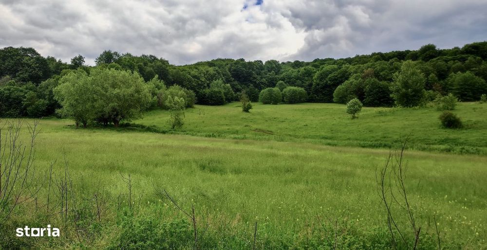 Teren larg 2 ha, la padure, panoramic dealuri si rau, cu curent, DJ