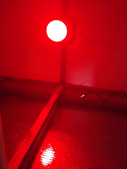 Брудер  жужаларга