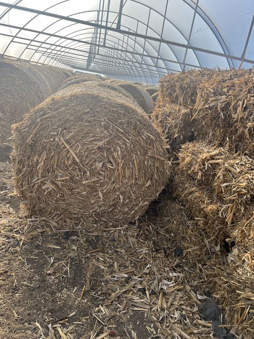 Baloti lucernă si de coceni(avem si transport contra cost motorina)