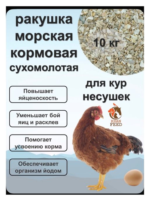 Ракушка морская кормовая