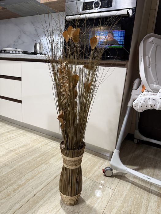 Planta decorativa !!