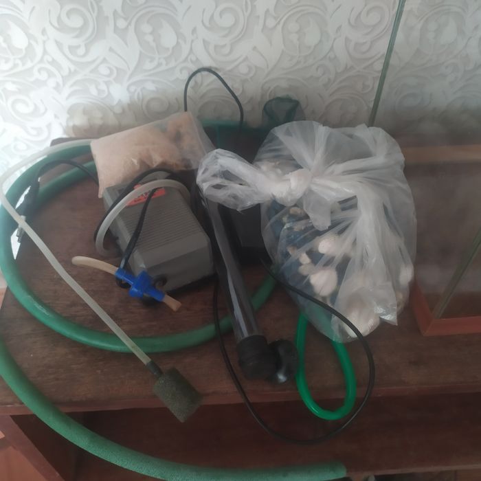 Аквариум небольшой