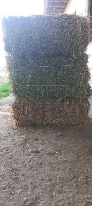 БЕДА ПРЕС 38990 sum Romitan ichiga dastavka bor