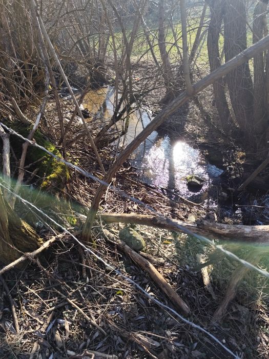 Продава се Парцел в с. Бачево, Област Благоевград - 700 кв.м за 22 €/кв.м - Снимка #3