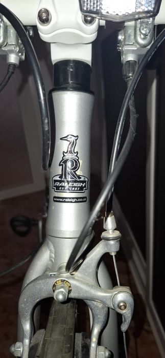Cursieră Raleigh