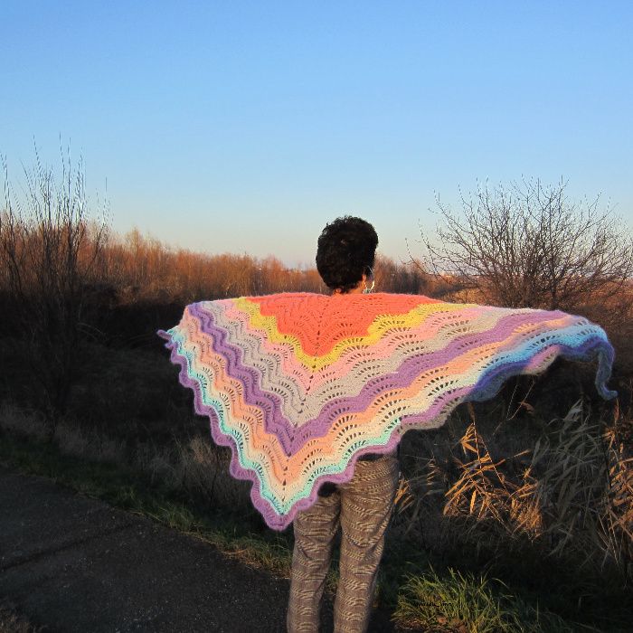 Aripi colorate Sal - lucrat manual