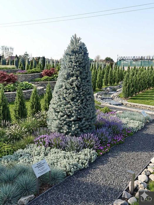 Укладка газона и Озеленение. Профессиональный ландшафтный дизайн