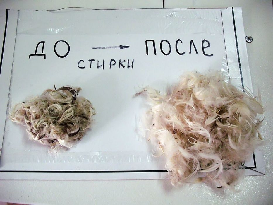 Реставрация подушек из пуха и пера