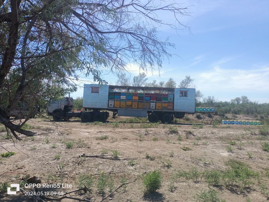 Натуральный мёд со своей пасеки