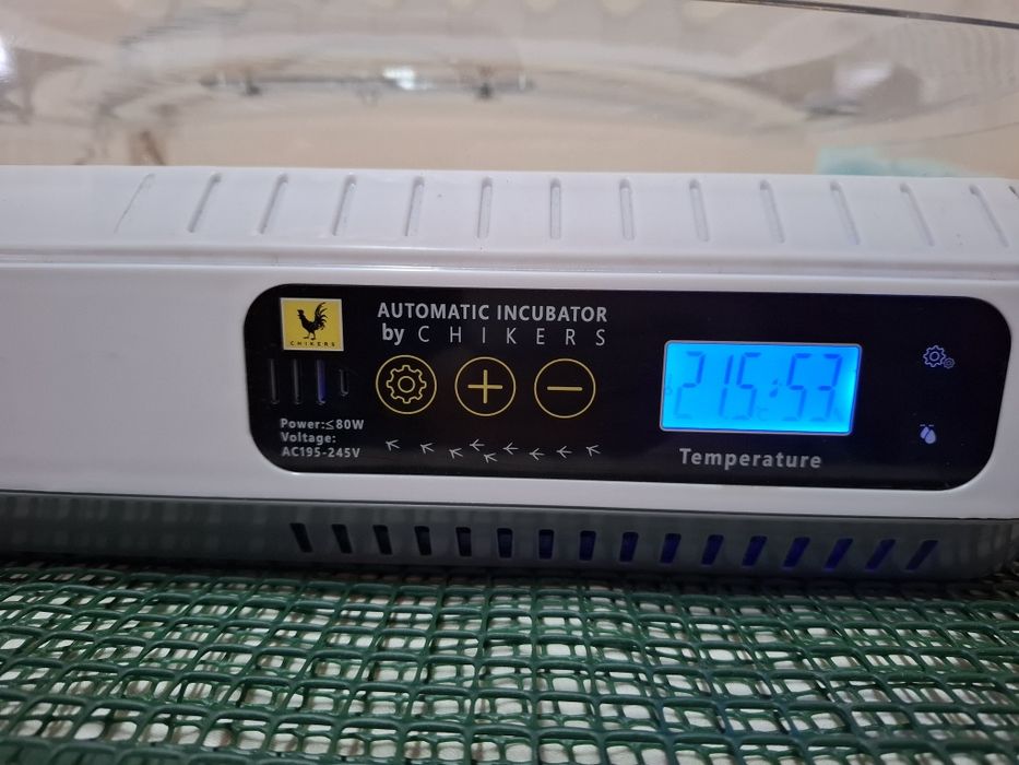 Incubator full automat