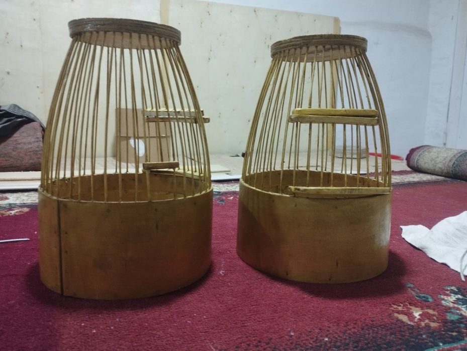 Italiya bedanaga qovoq bor sotiladi