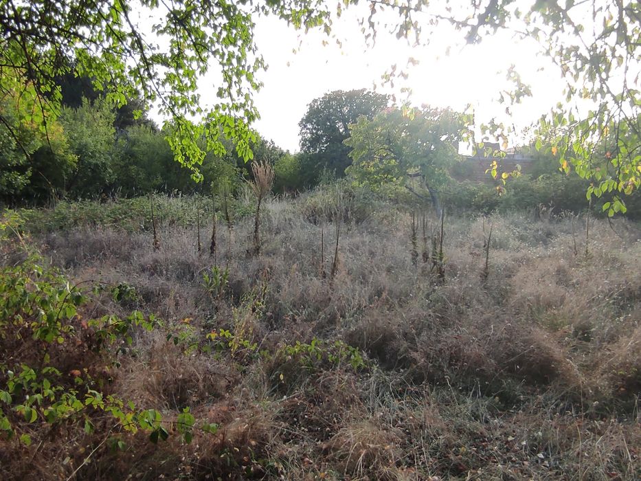 Продава се Парцел в с. Сърнегор, Област Пловдив - 433 кв.м за 18 €/кв.м - Снимка #7