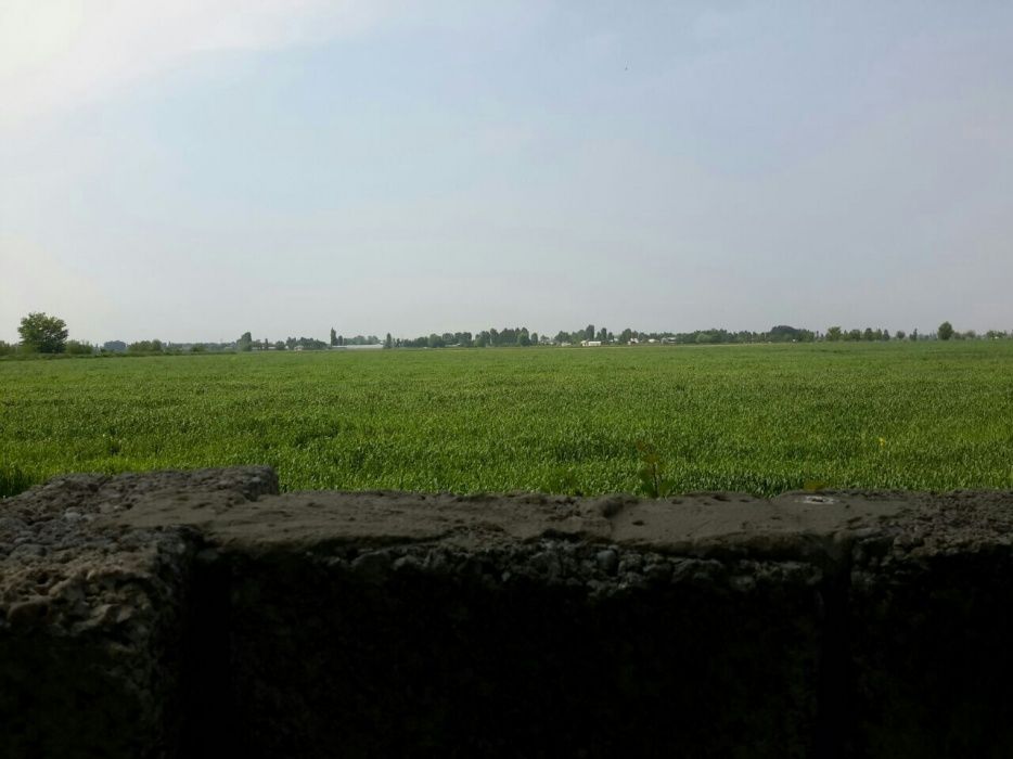 Участок , дом , новый Узбекистан и  новый Ташкент