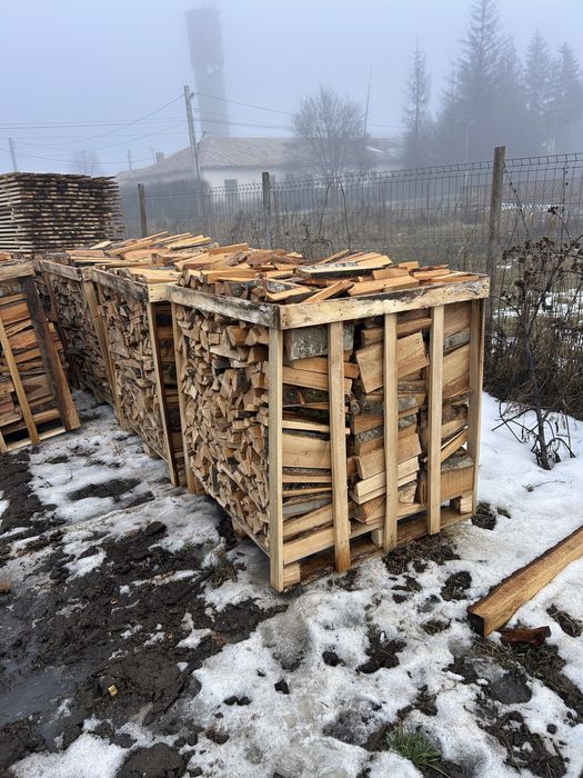 Lemn de foc fag paletizat