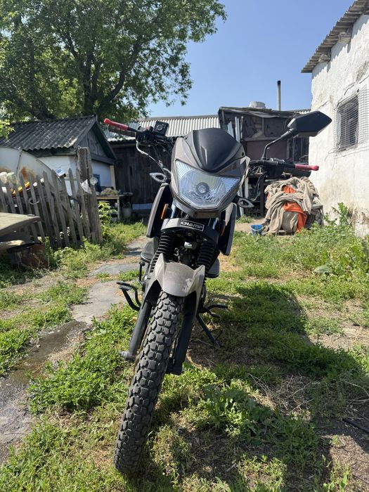 мопед champ rs 12