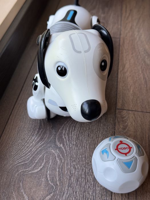 Робо куче дакел