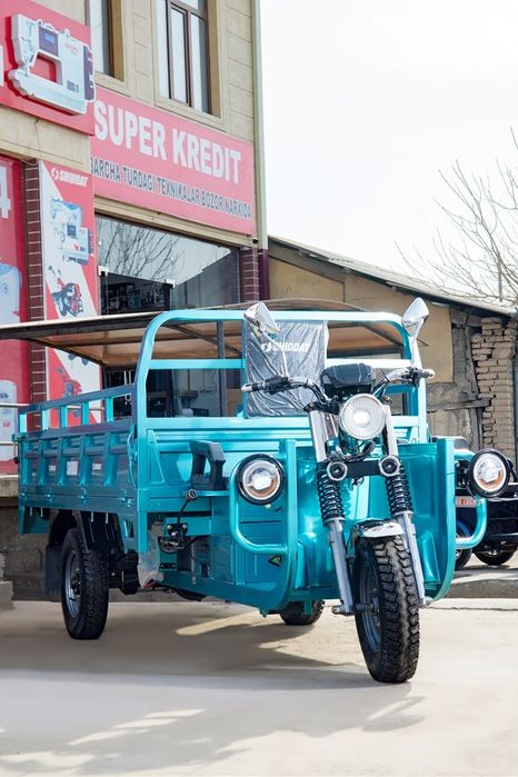 Shiddat-107 elektron muravey