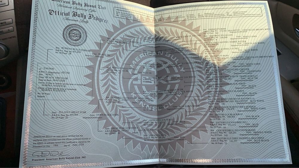 Американский Булли