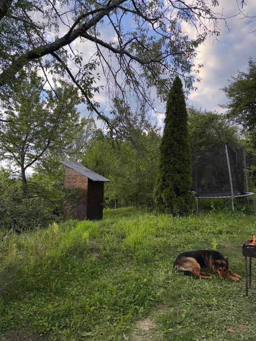 Casă de vacanță + 10.800 mp teren | 2 case | Sat Coasta, Comuna Golești, Vâlcea