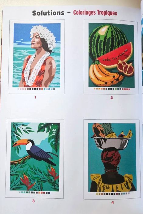 Раскраска по номерам от Hachette