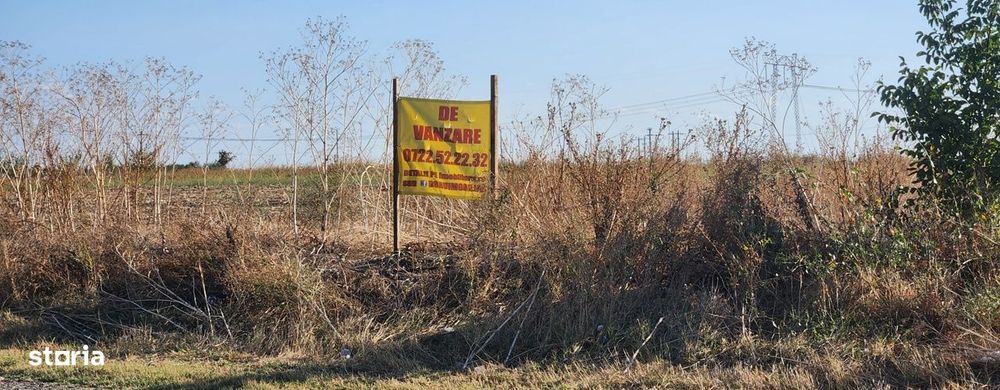 Frumusani-Pasarea,stradal la asfalt,ideala investitie!
