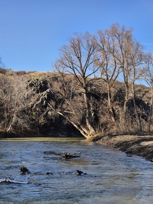 Сдаётся гостевой дом с баней и чаном