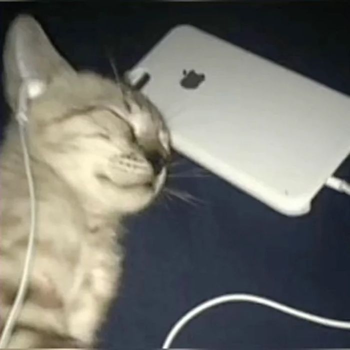 Котик вязанный ДРУГОГО ЦВЕТА