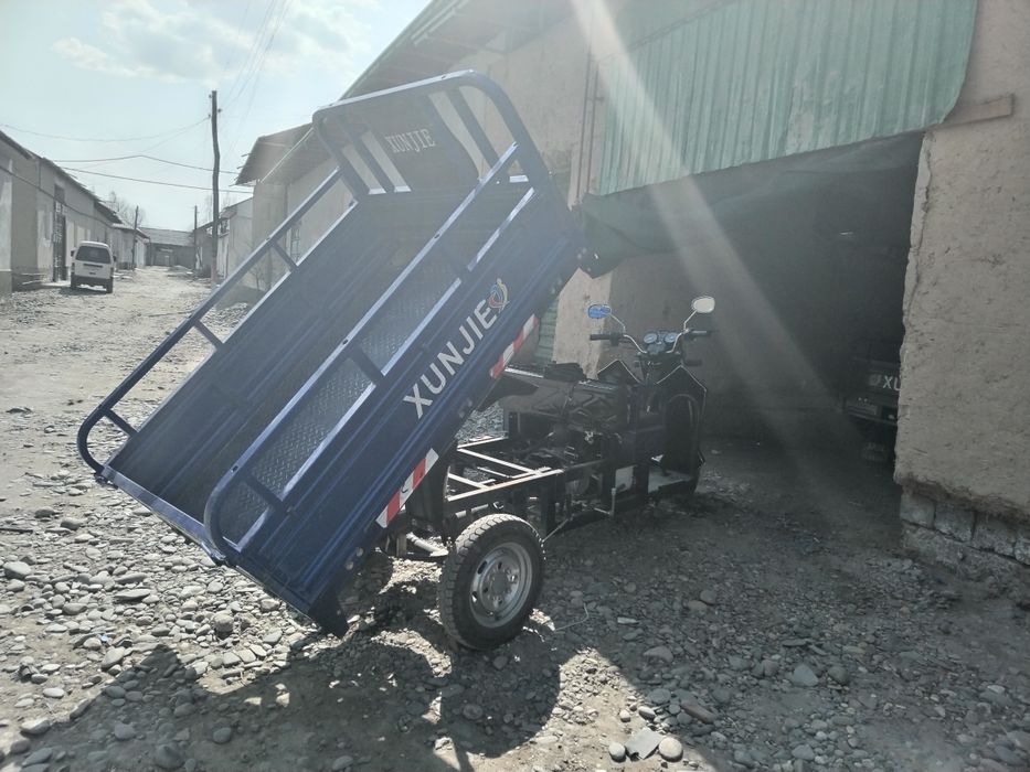 Муравей уч ойокли