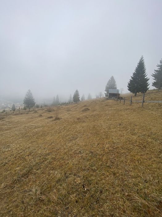 Vand teren 5000 de m patrati, Comuna Breaza, Jud Suceava