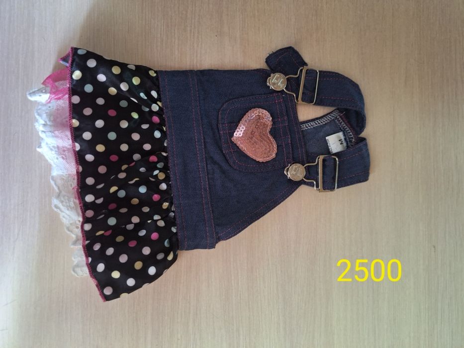 Одежда для собак