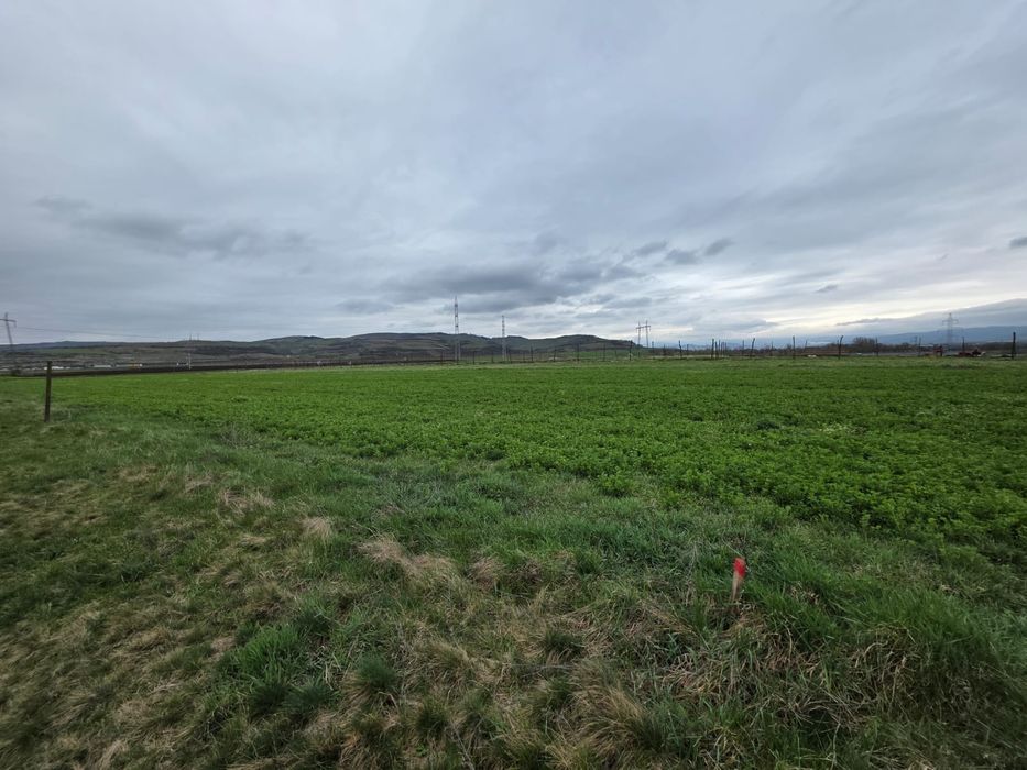 Vând teren Oarda de Jos