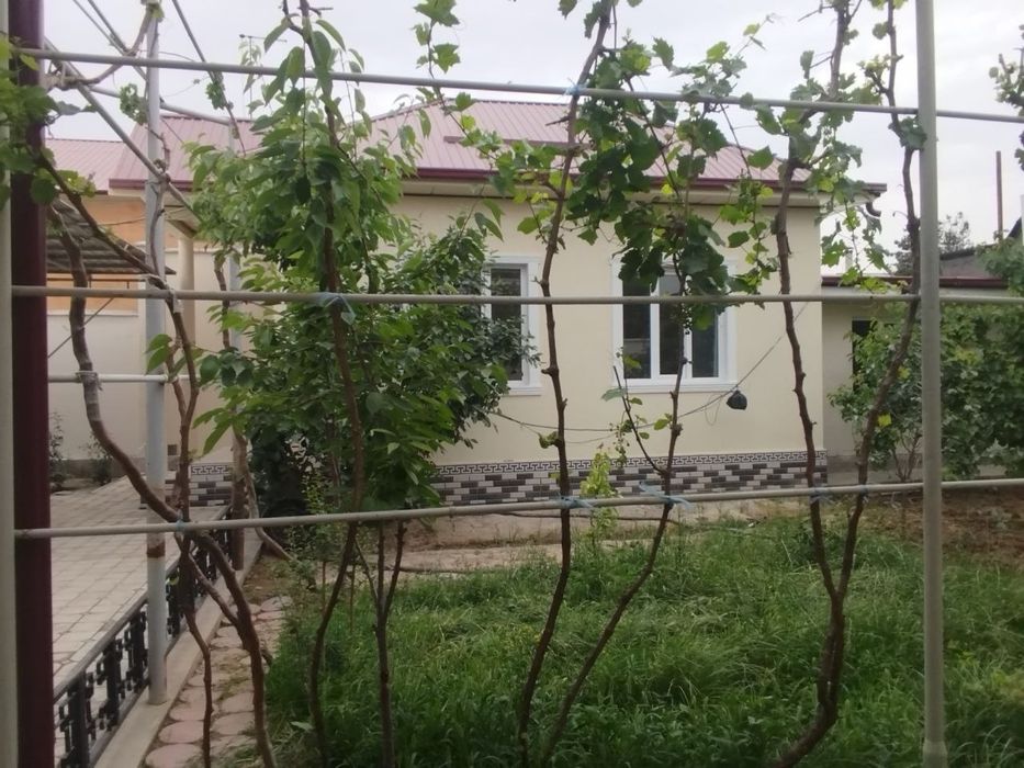 Дача в черте города Ташкента.
