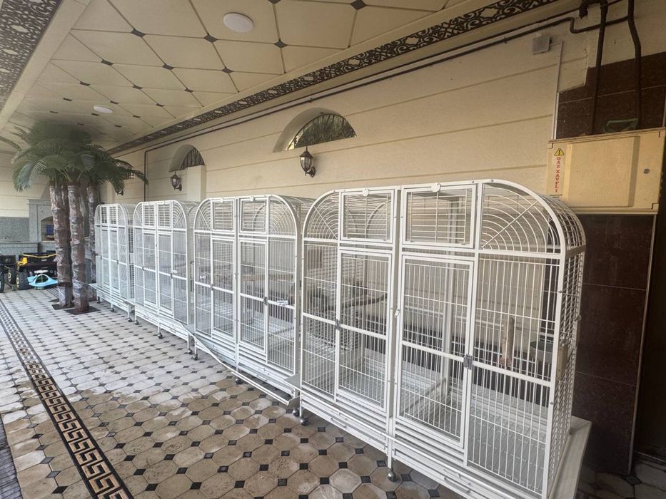 Qafasla sotuladi .Azgina ishlatilgan