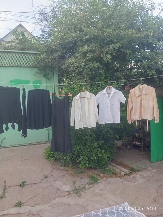 Женская одежда. Платья