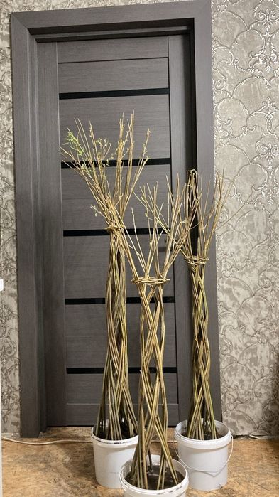 Плетенное дерево из ивы