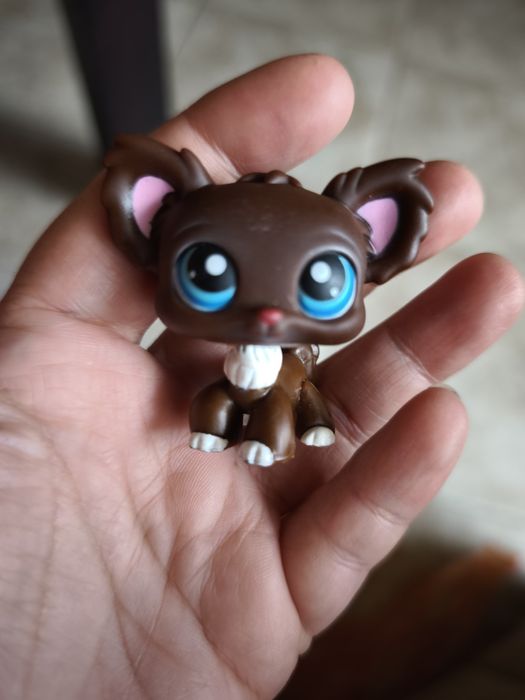 Littlest pet shop, 12 броя